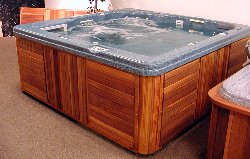 Click here for portable hot
                                  tubs,jacuzzi tubs,hot tubs and
                                  spas,indoor spas,discount hot tubs and
                                  hot tub maintenance